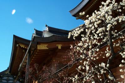 Tempel